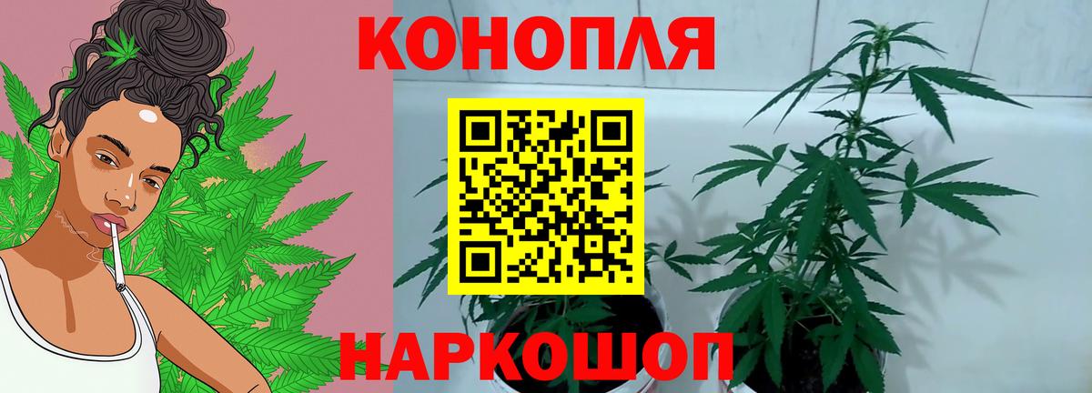 Каннабис SATIVA & INDICA Нефтеюганск